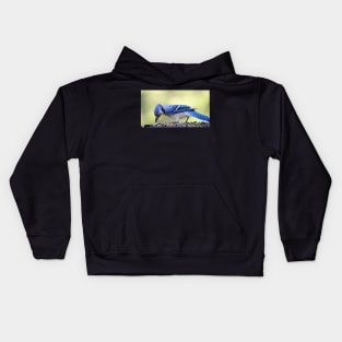 Bluejay Kids Hoodie